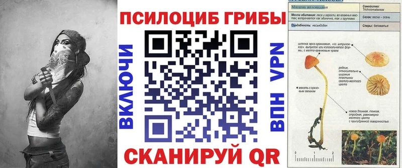 Галлюциногенные грибы Cubensis как найти закладки Ликино-Дулёво